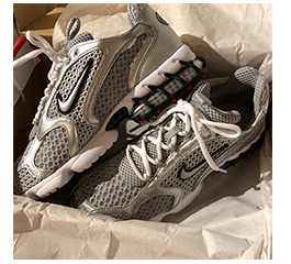 WOMAN NIKE ZOOM SPIRIDON CAGE 2 METALLIC SILVER