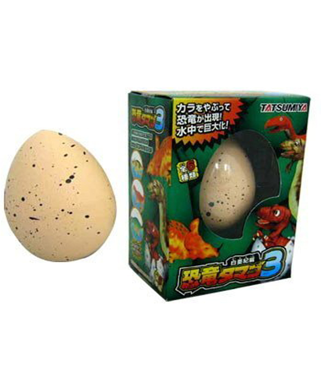 공룡알 3! 76시간 후 알에서 부화하는 공룡! 3개세트