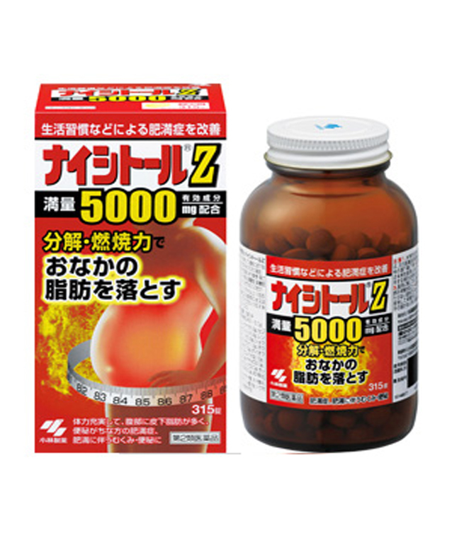 나이시토루 Z 420정